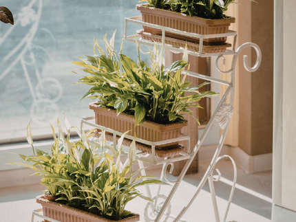 Collection image for: Artificial Grass & Plants