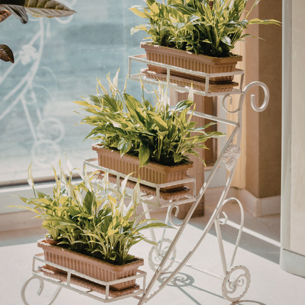 Collection image for: Artificial Grass & Plants
