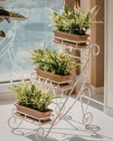 Artificial Grass & Plants