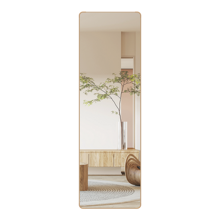 Yezi 120cm Wall Mounted Full Length Mirror Door Hanging-2029387203049820168