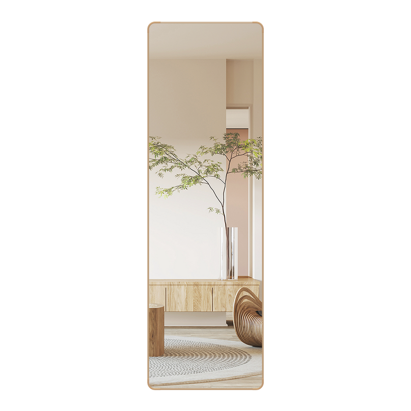 Yezi 120cm Wall Mounted Full Length Mirror Door Hanging-2029387203049820168